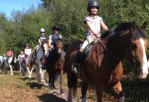 Horse Riding