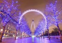 Festive Period Activities