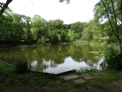 summer camp lake raft building